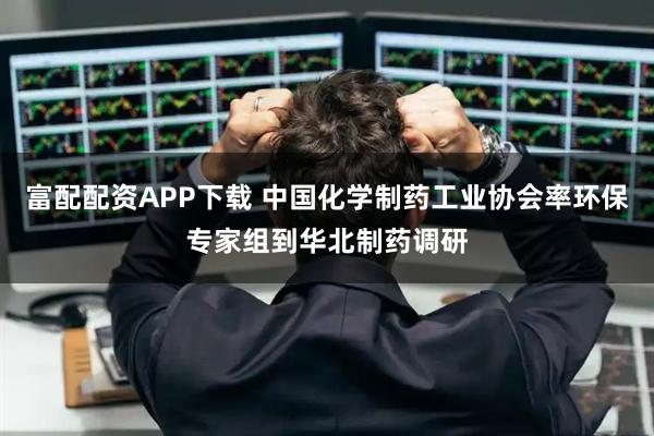 富配配资APP下载 中国化学制药工业协会率环保专家组到华北制药调研