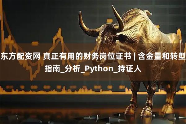 东方配资网 真正有用的财务岗位证书 | 含金量和转型指南_分析_Python_持证人