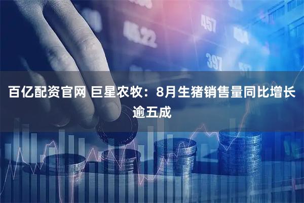百亿配资官网 巨星农牧：8月生猪销售量同比增长逾五成